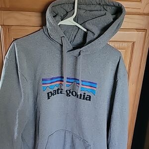 Patagonia Men's Grey Hoodie